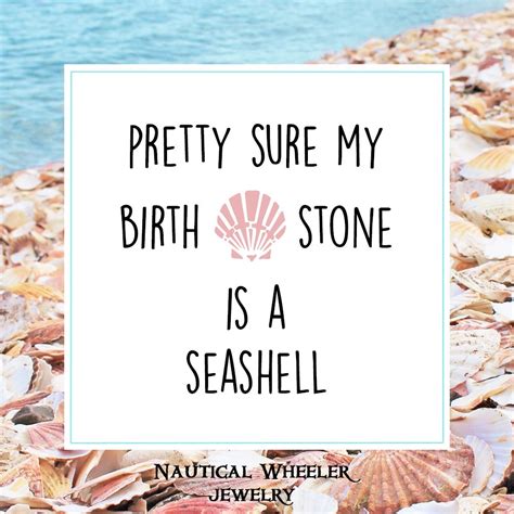 funny seashell sayings
